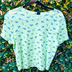 🔹 Wild Fable Ribbed‎ Cotton Crop T-Shirt